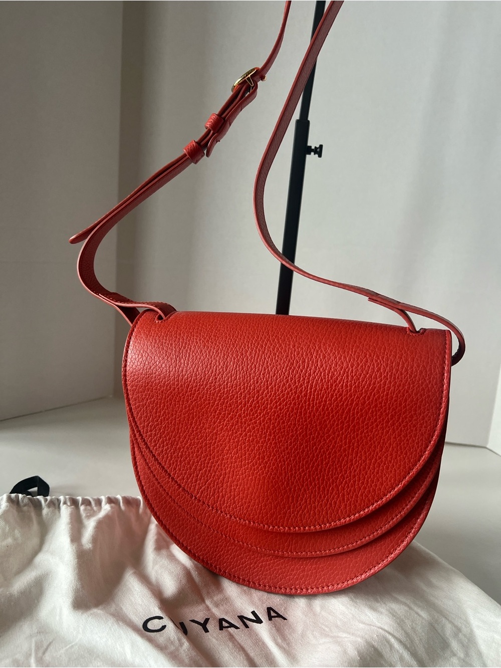 Cuyana double moon crossbody NWOT - Picture 12 of 14